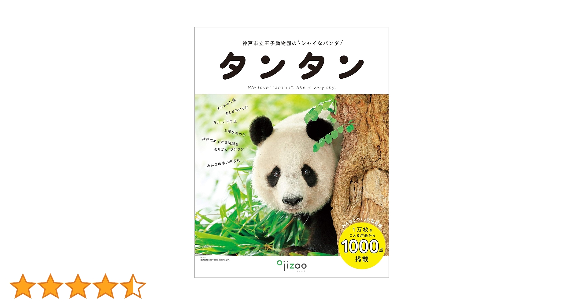 絶版♦️新品♦️未読♦️王子動物園 タンタン絵本 童童 アドベンチャーワールド 永明 絶版♦️新品♦️未読♦️王子動物園 タンタン絵本 童童
